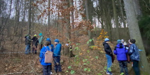 Škola v přírodě s Lipkou - Ostrov u Macochy 2024 - 1732366583_Ostrov u Macochy 2024 - ŠvPř s Lipkou (131).jpg